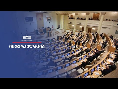 ინტერპელაცია - საქართველოს საგარეო საქმეთა მინისტრი ილია დარჩიაშვილი - 20.10.2023